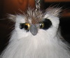 Аватар для OwlMaster