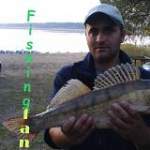 Аватар для Fishingfan