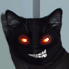 Аватар для Shadow_cat